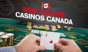 Discover the Best Live Casinos Online