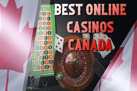 Discover the Best Live Casinos Online