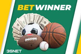 Exploring the BetWinner Gambling Platform A Comprehensive Overview