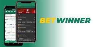 Exploring the BetWinner Gambling Platform A Comprehensive Overview