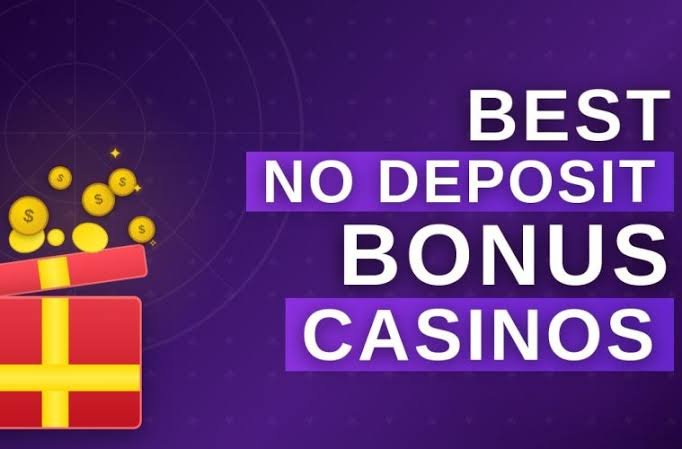 Unlock the Thrill of Free Spins No Deposit Your Guide to Winning Big
